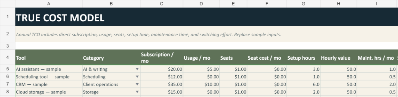 True Cost Model sheet with illustrative subscription, usage, seat, setup, maintenance, switching, and annual total cost values